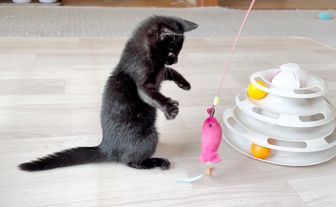 幸せになるために生まれてきた命を無駄にしたくない!!