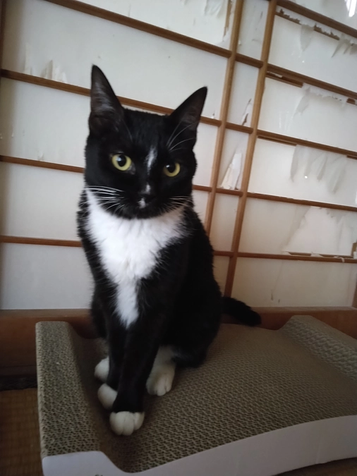 5/11はなちゃんの様子