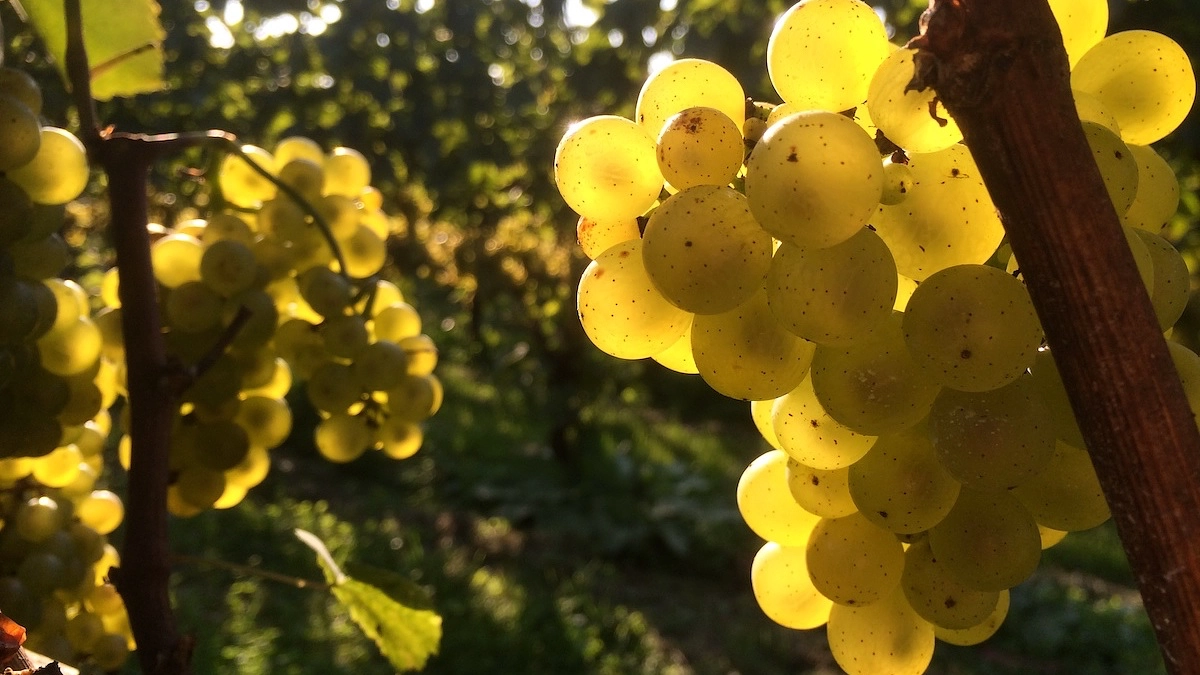 終了まで残り１０日を切りました！
