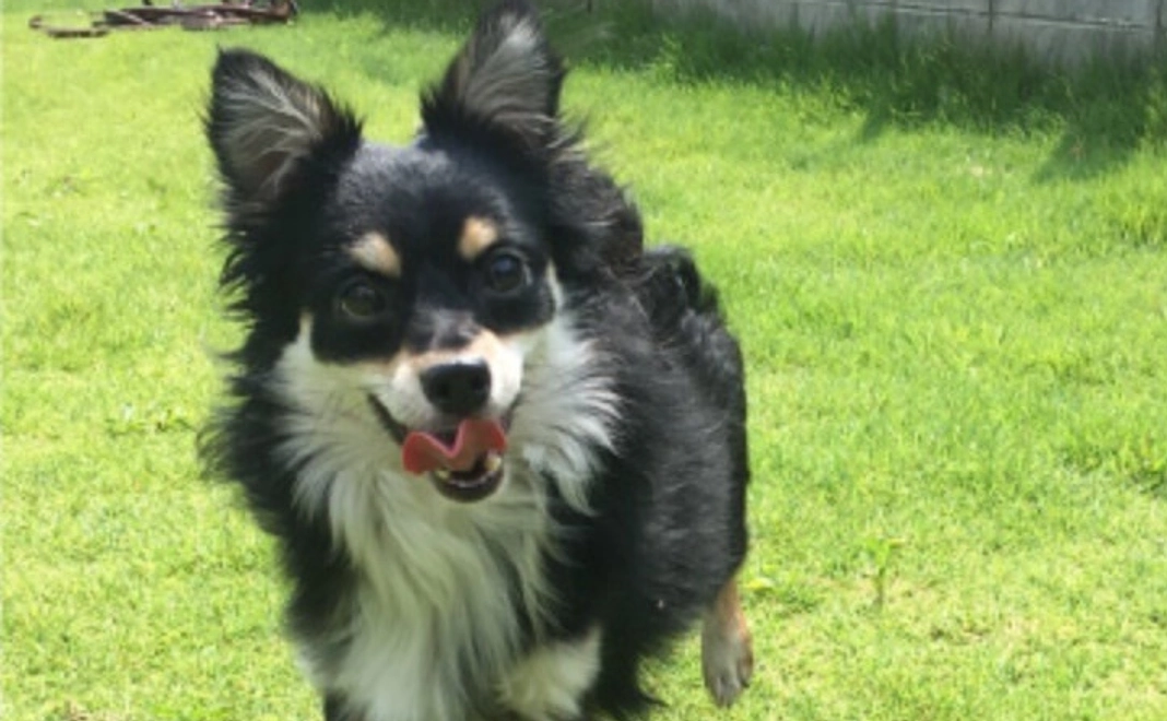 【特別なリターン不要】全力応援コース｜3千円