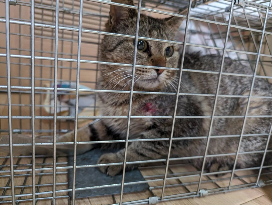 保護活動2日目。