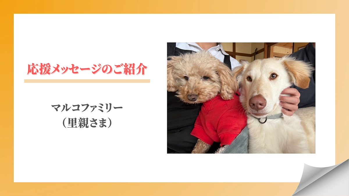 【メッセージリレー#11】マルコファミリー（里親さま）
