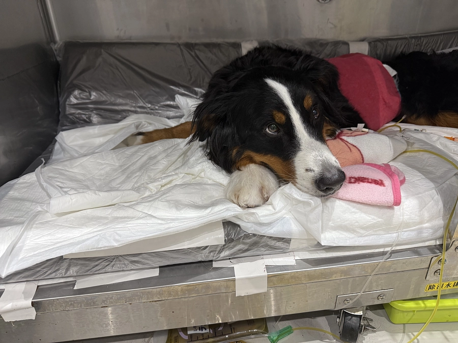 術後のご報告となります②