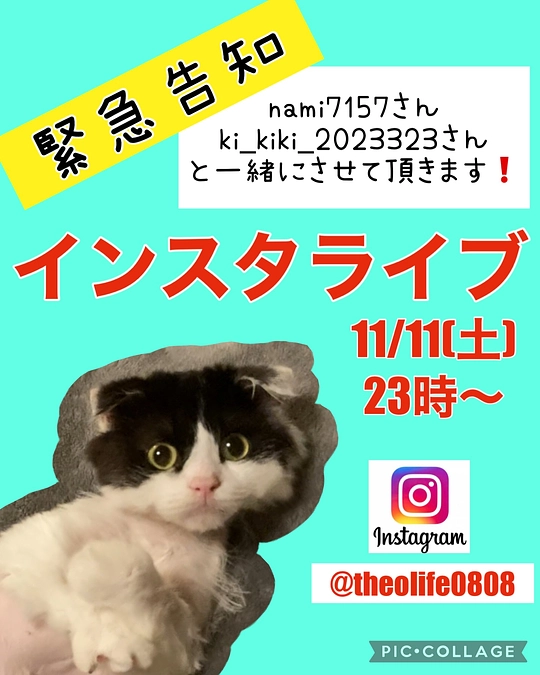 11/11(土)23時〜インスタライブの告知
