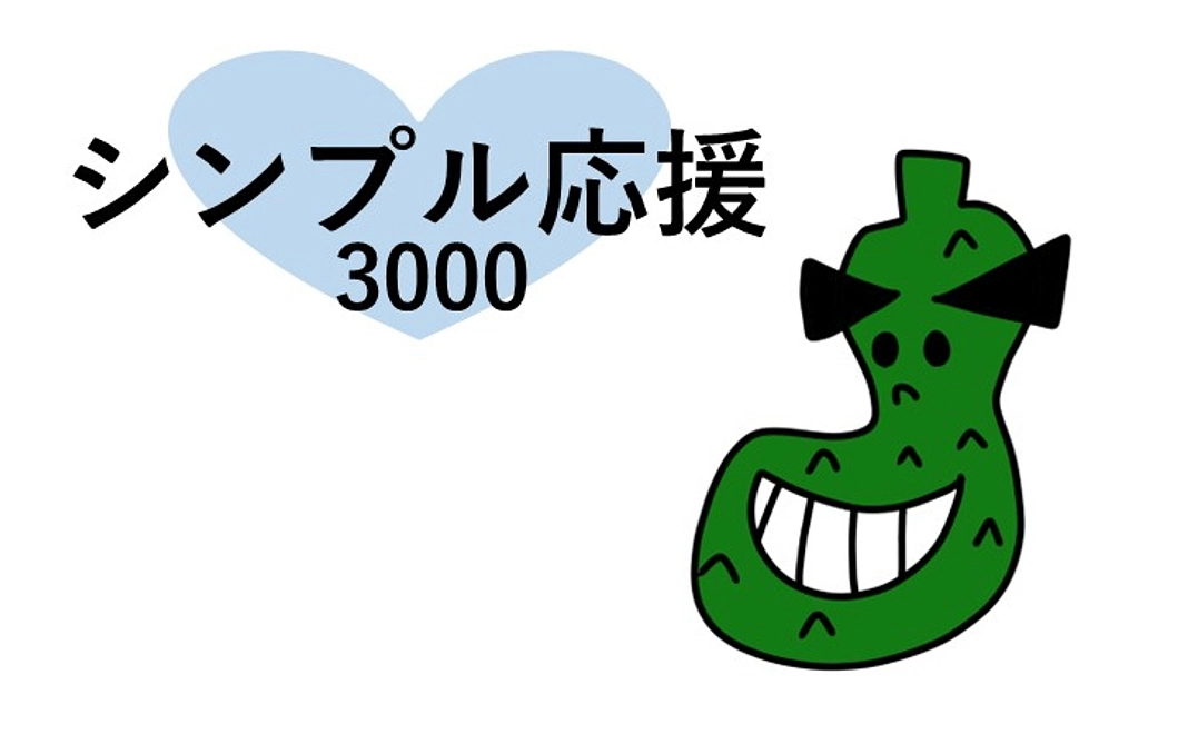 シンプル応援3000プラン