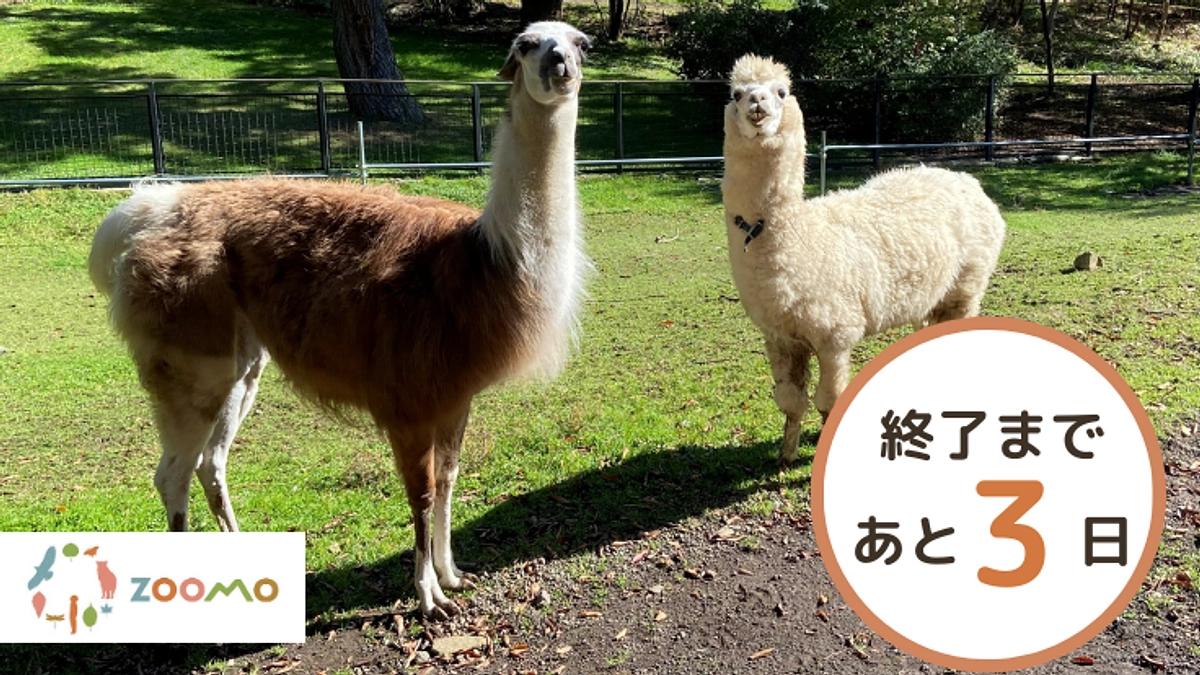 【残り3日】ネクストゴール挑戦後もたくさんのご支援ありがとうございます！