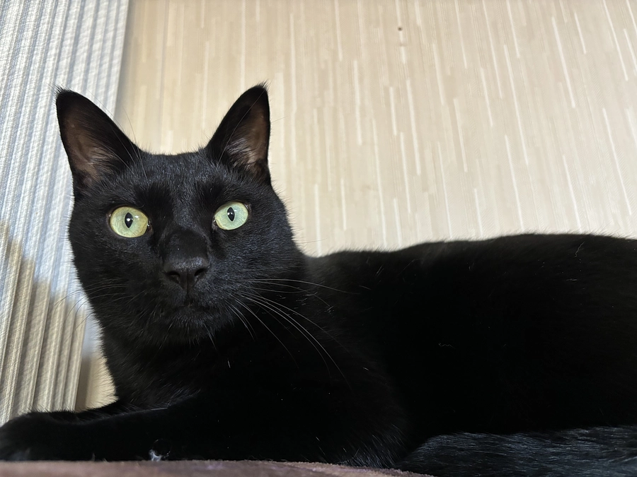 リターンのメールを送りました