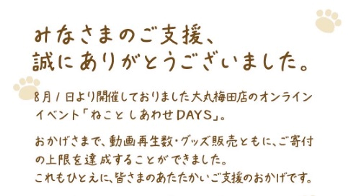 「ねことしあわせDAYS」ご支援のお礼