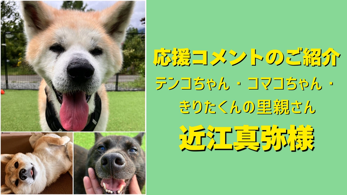 テンコちゃん・コマコちゃん・きりたくんの里親さんである近江真弥様から応援メッセージをいただきました！