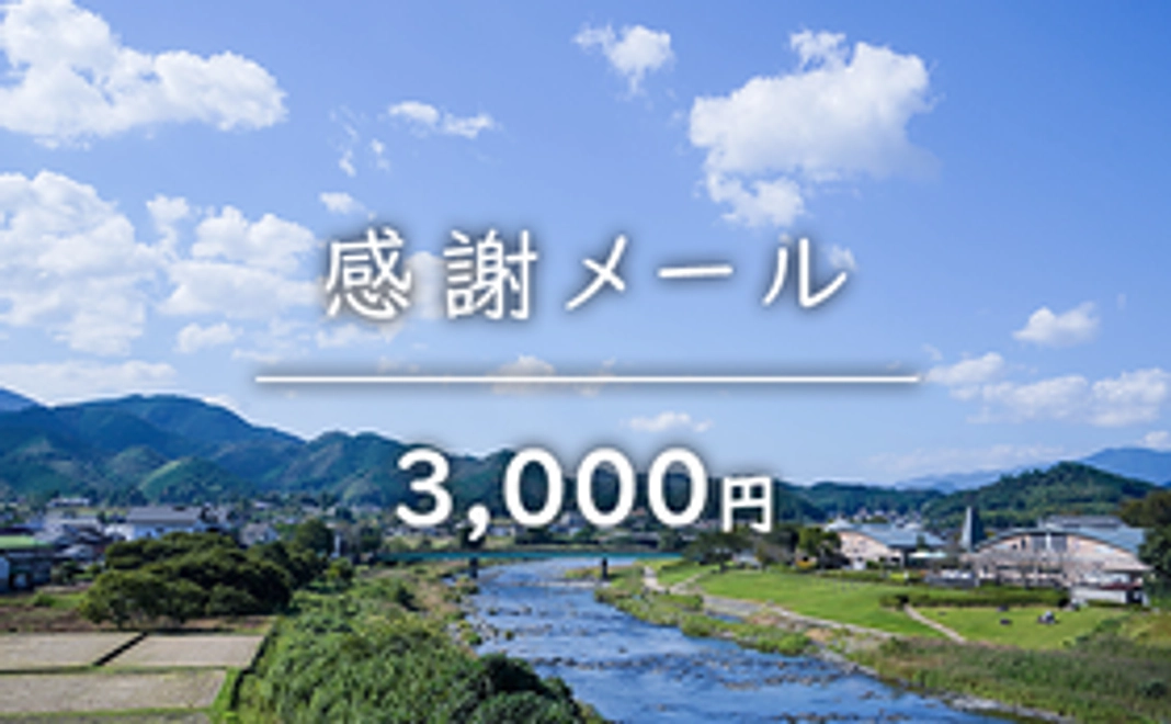 感謝メールコース（豪華な返礼品は不要な方向け）｜3,000円