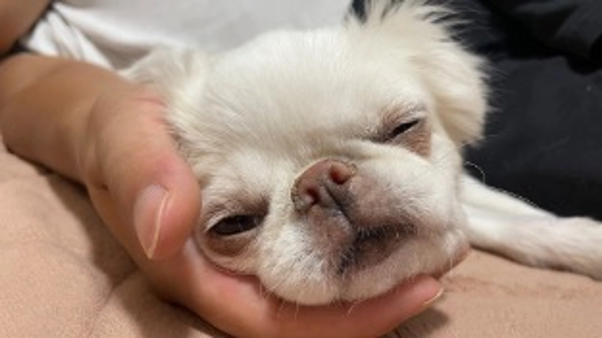 残り31日✊🏼‼️