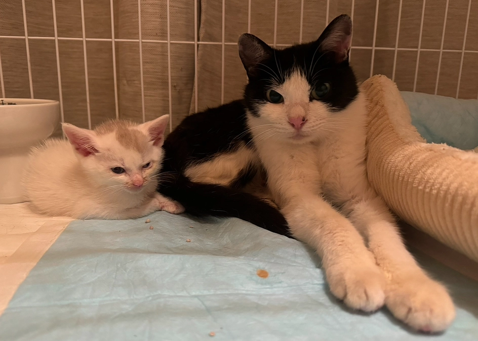 皆さまのおかげです！！