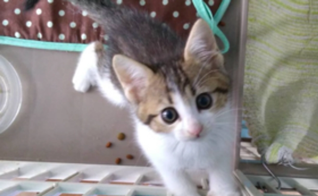 応援ありがとう