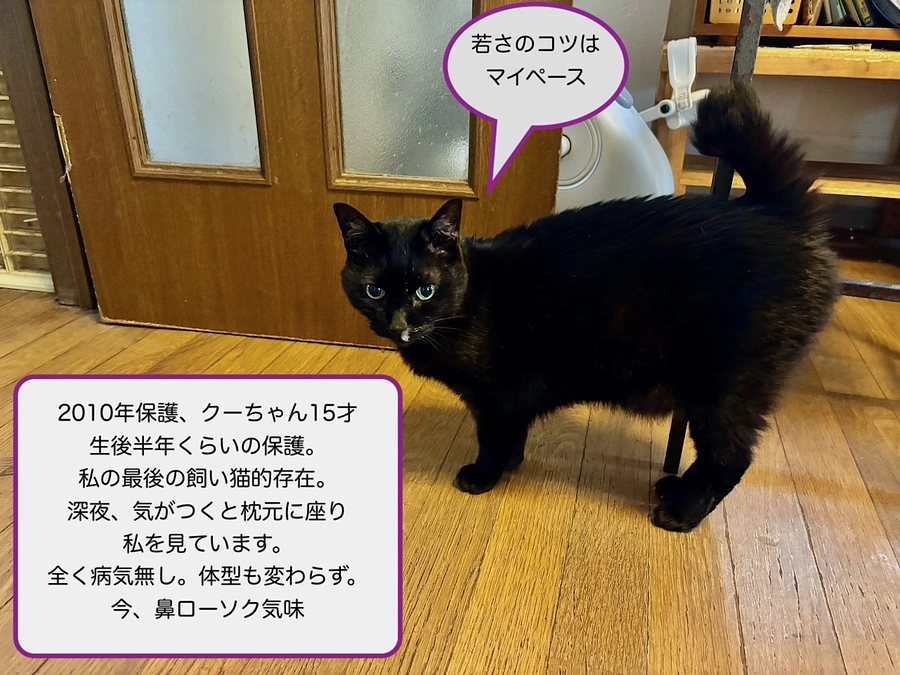 お礼と報告/2025年５月31日