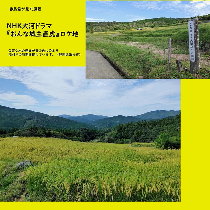 春馬さんが見た風景『久留女木の棚田』に実りの秋が
