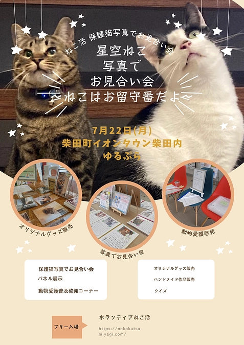 【ちゃたん君】【あんずちゃん】【こももちゃん】の近況と直近の予定