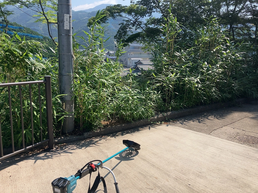 住職のひとりごとコラム：笹に挑み、知恵に学ぶ