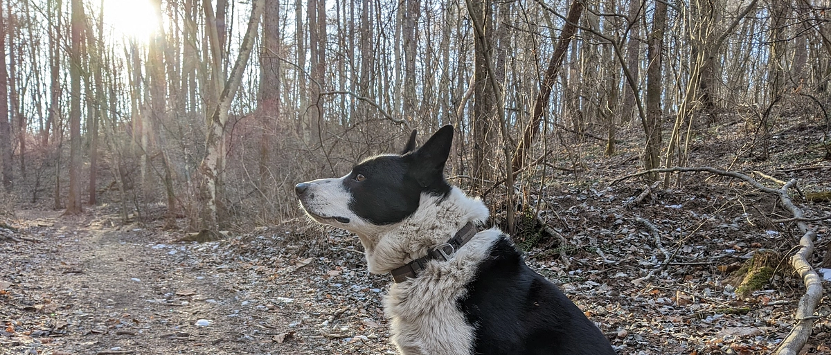 クライドファンディング、終了しました！！