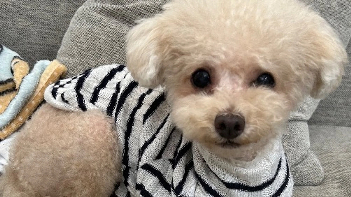 プロジェクトスタートしました