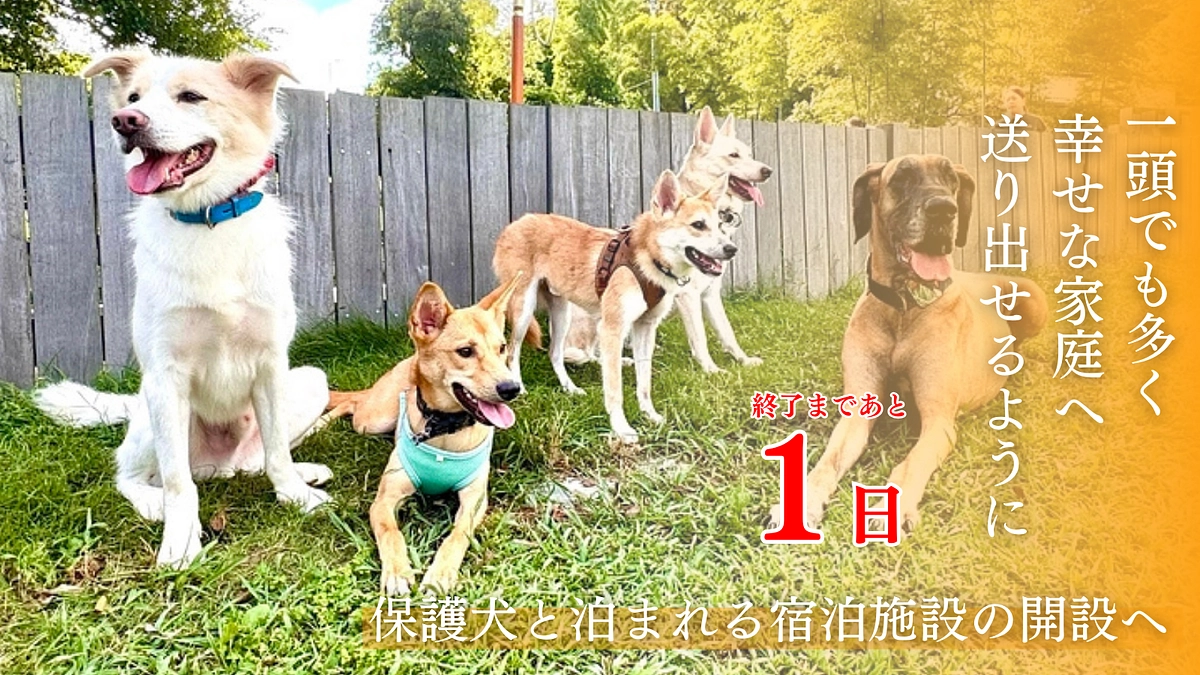 【いよいよ明日23時終了】最後のひと推し応援をよろしくお願いします！