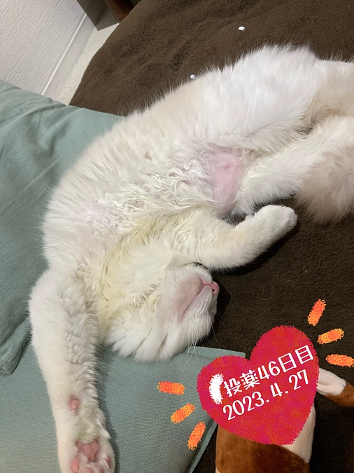 投薬４６日目(2023.4.27)