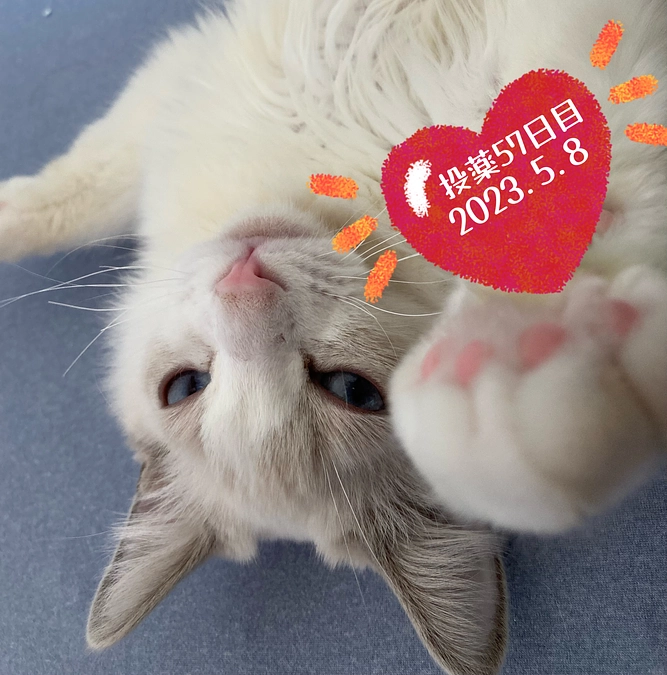 投薬５７日目(2023.5.8)&ご支援のお知らせ