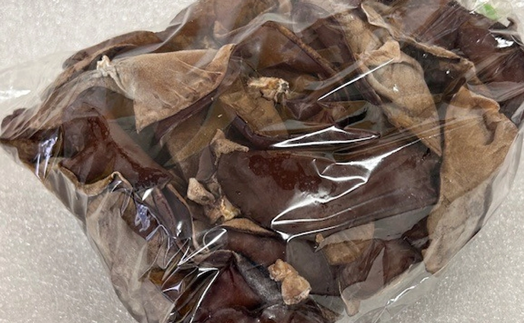 リターン2　生きくらげ400g