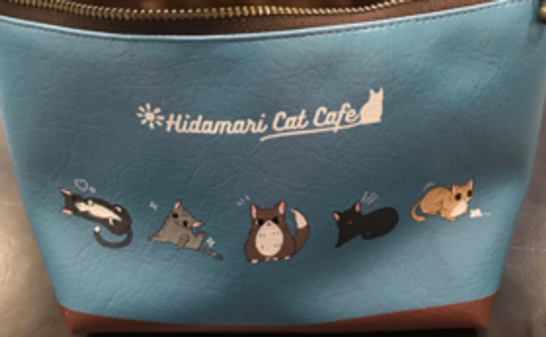 【遠方の方向け】オリジナルポーチ