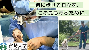 大好きな愛犬と健やかに歩ける日々を。手術器械導入へのご支援を のトップ画像