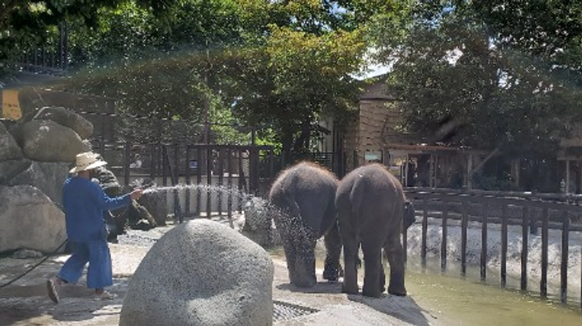 もも夏が、かわいすぎるんです！