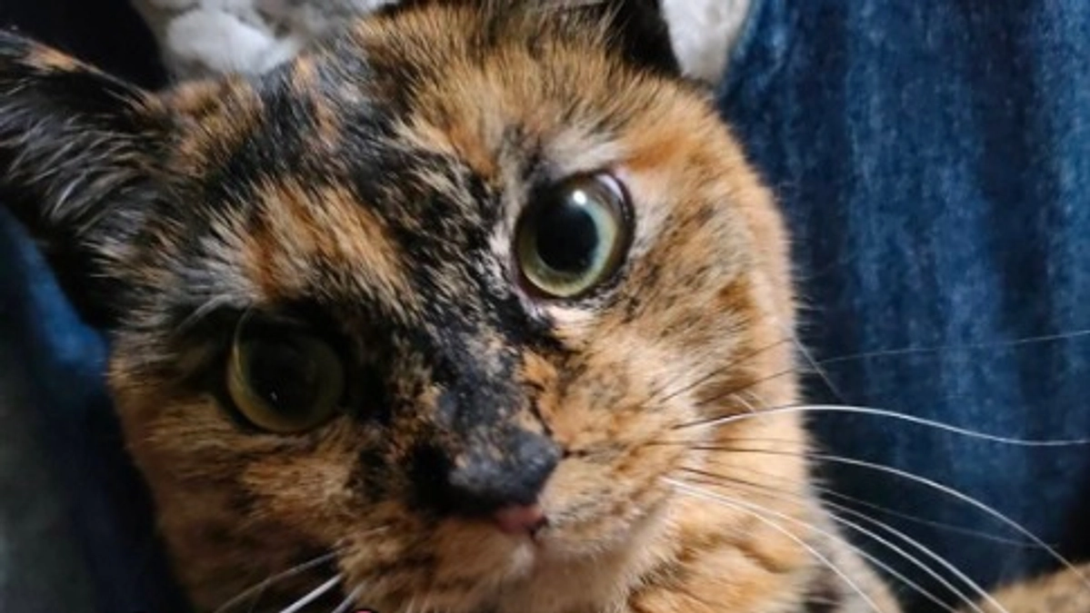 ✿25年　3月のご報告✿