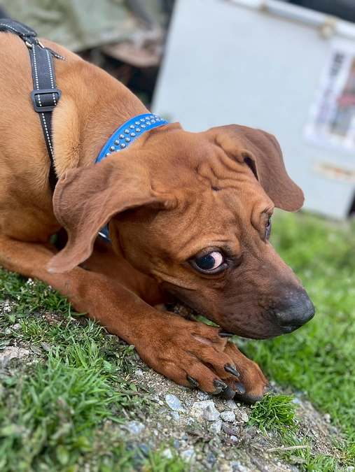 途中経過のご報告