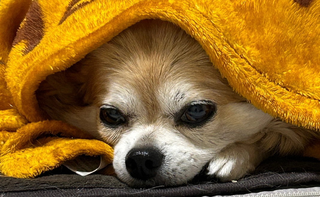 感謝のメールをお送りします。