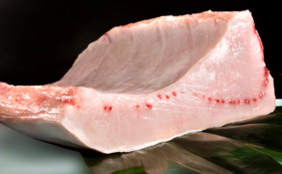 【Readyfor限定】気仙沼極上お刺身用生メカジキ腹身ブロック【4人前】