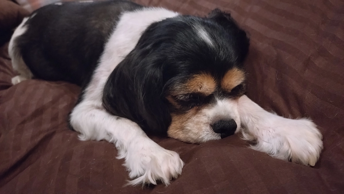 10月12日に疼痛予防のパッチを始めました