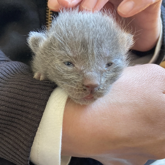 ご支援ありがとうございました