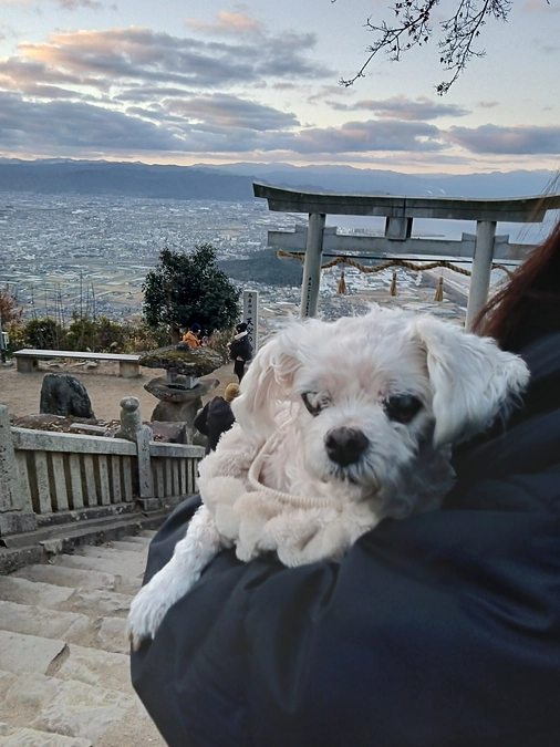 明けましておめでとうございます