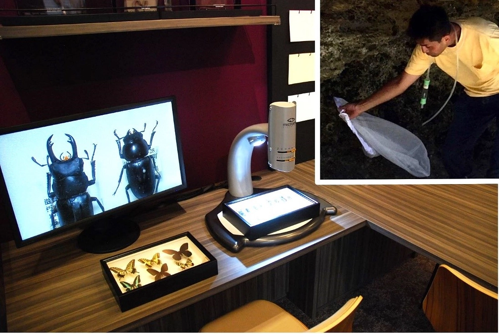 学芸員のお仕事紹介！　水生昆虫学　桝永一宏 ビワコムシと質問コーナー