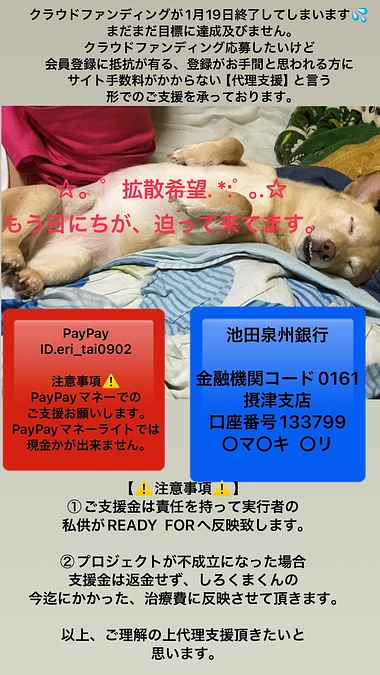 代理支援を始めました！