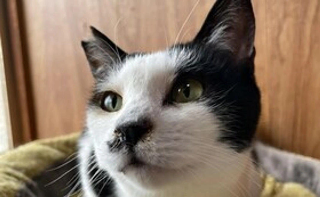 ハーツ活動応援コース3000