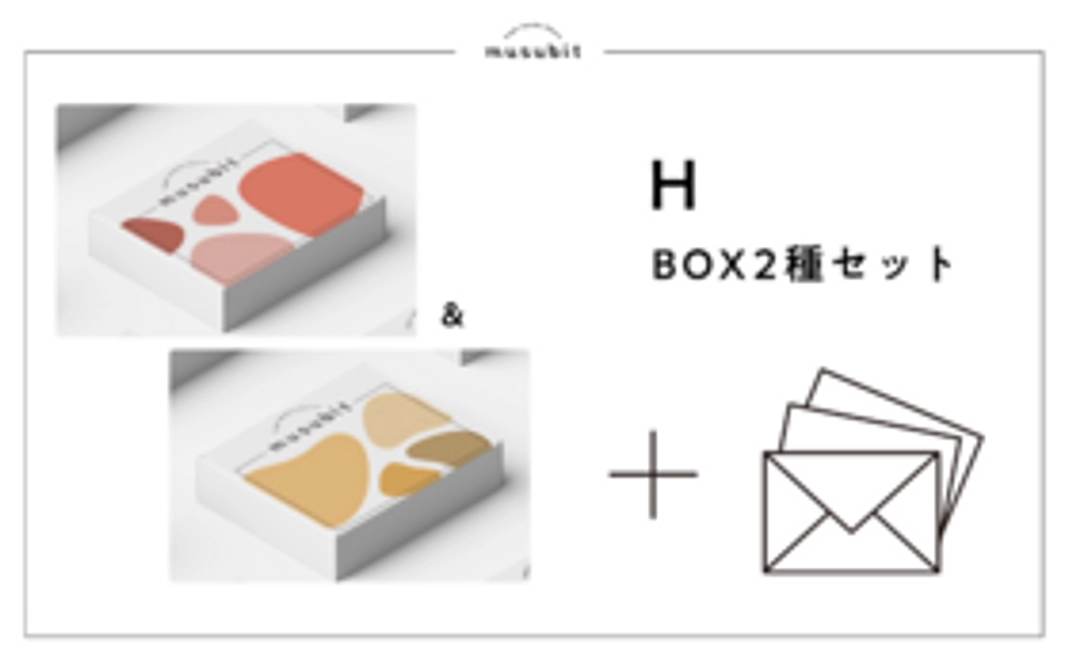 H：BOX2種セット