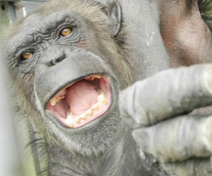 朗報です：アキナにも薬が効きました！！！