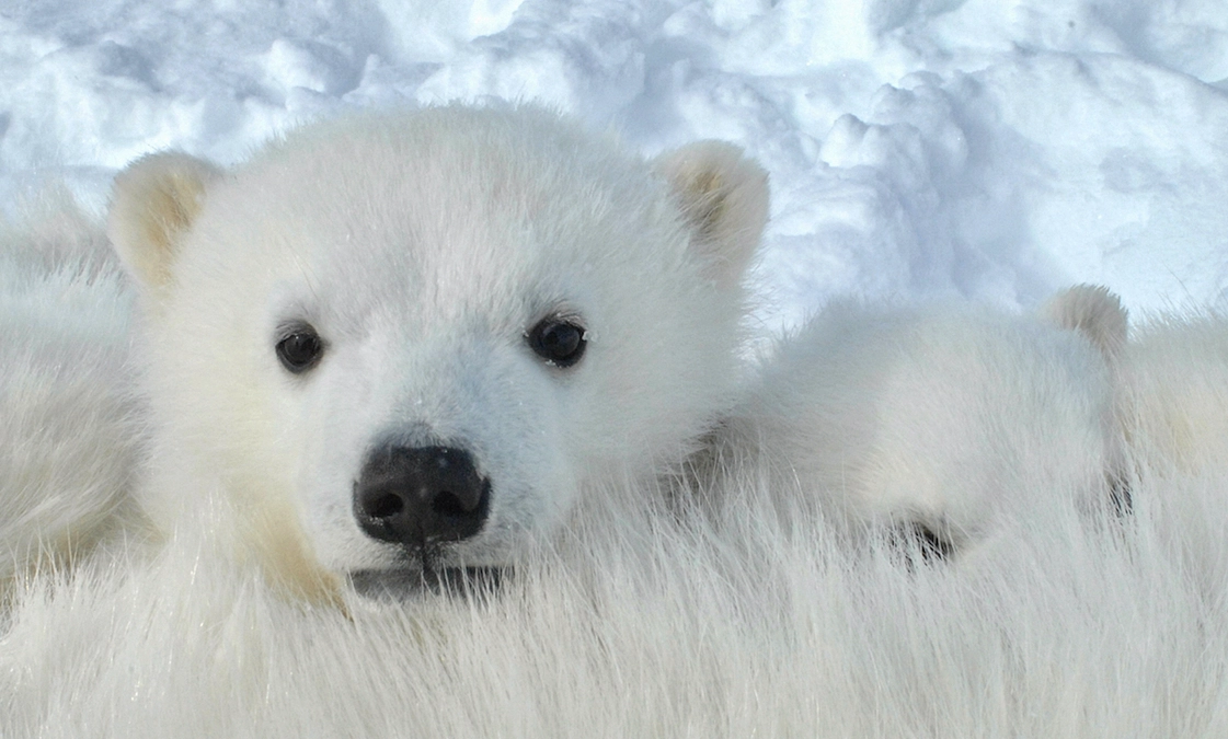 第３弾は本日が最終日です