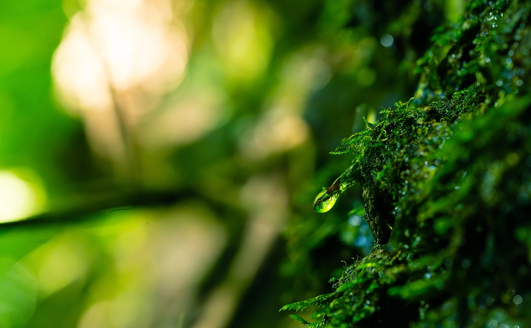 【応援】全力応援コース（書籍へ名入れ）