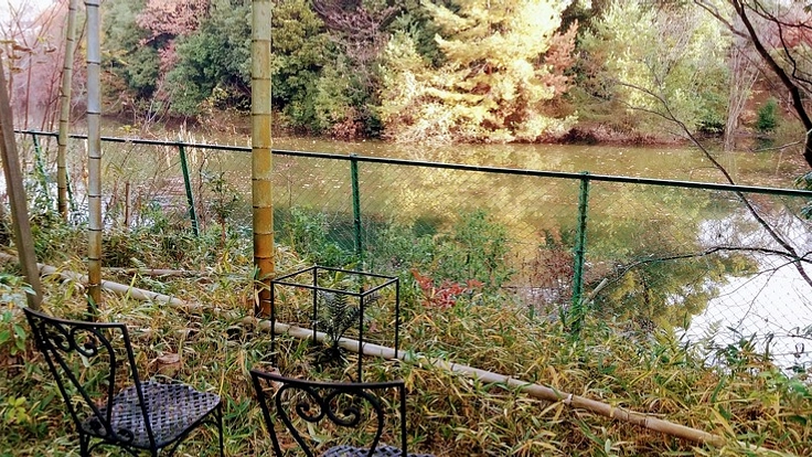 京都歴史的風土保存区私有地で密かに女子ソロOR親子デュオキャンプを