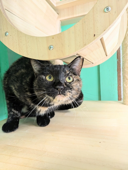 🎎3月活動報告です