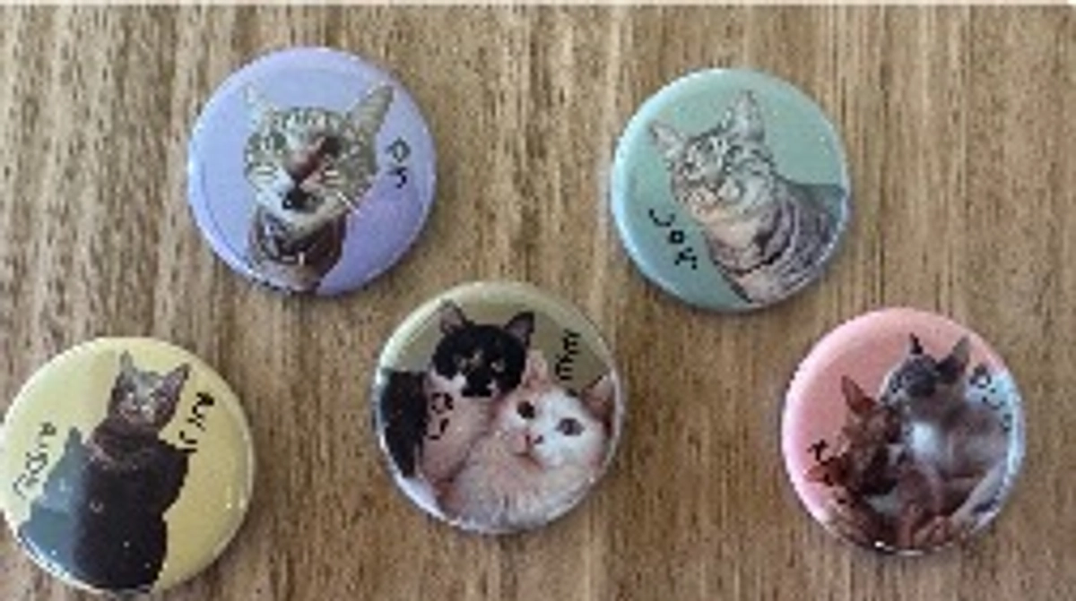 リターンが追加されました！！