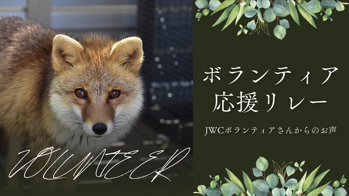 ボランティア応援リレーVol1「しゅうじさん」