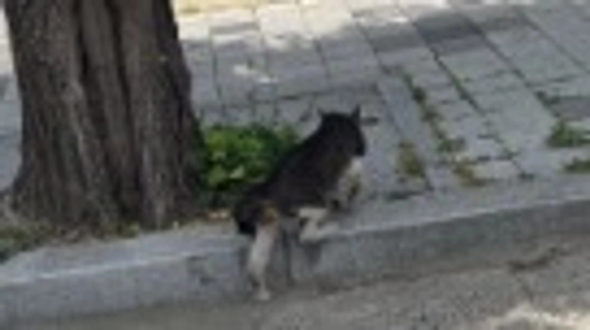 2週間経ちました。