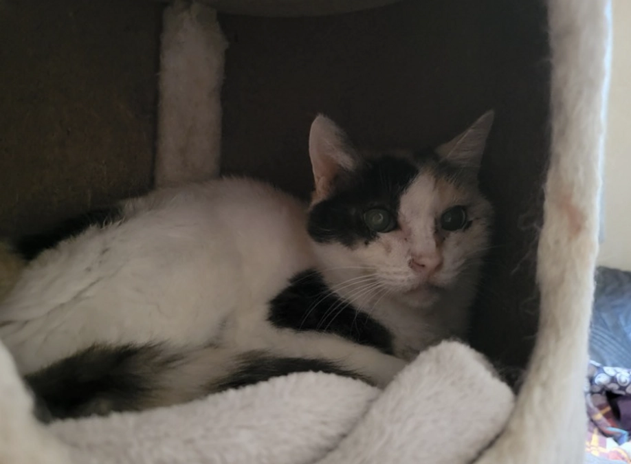 日々のささやかな活動のご紹介〜暑さに負けない工夫〜